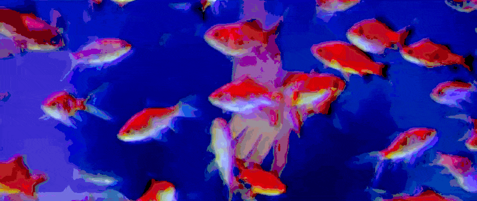 veloxrotaphobia's banner