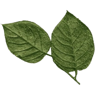 rogue's avatar