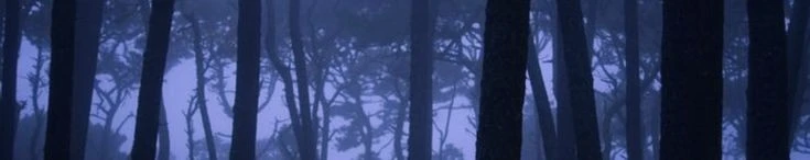 alex's banner