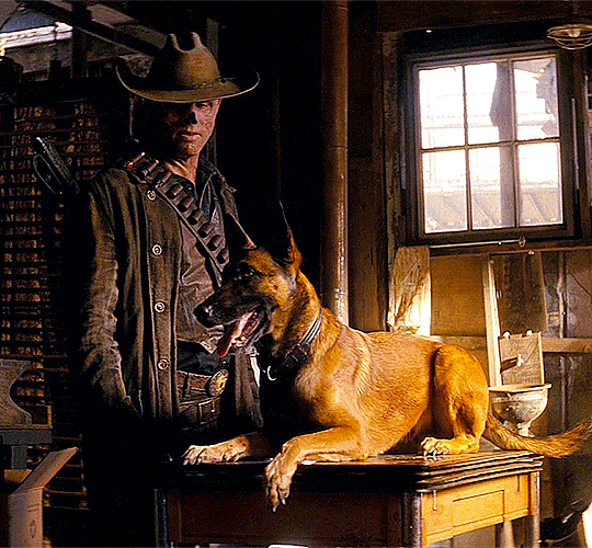 Dogmeat⭑ 🦴's banner