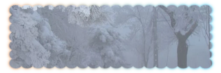﹙ ❄️ ﹚　𝐌ikhail　　𓏼　　米哈伊爾's banner