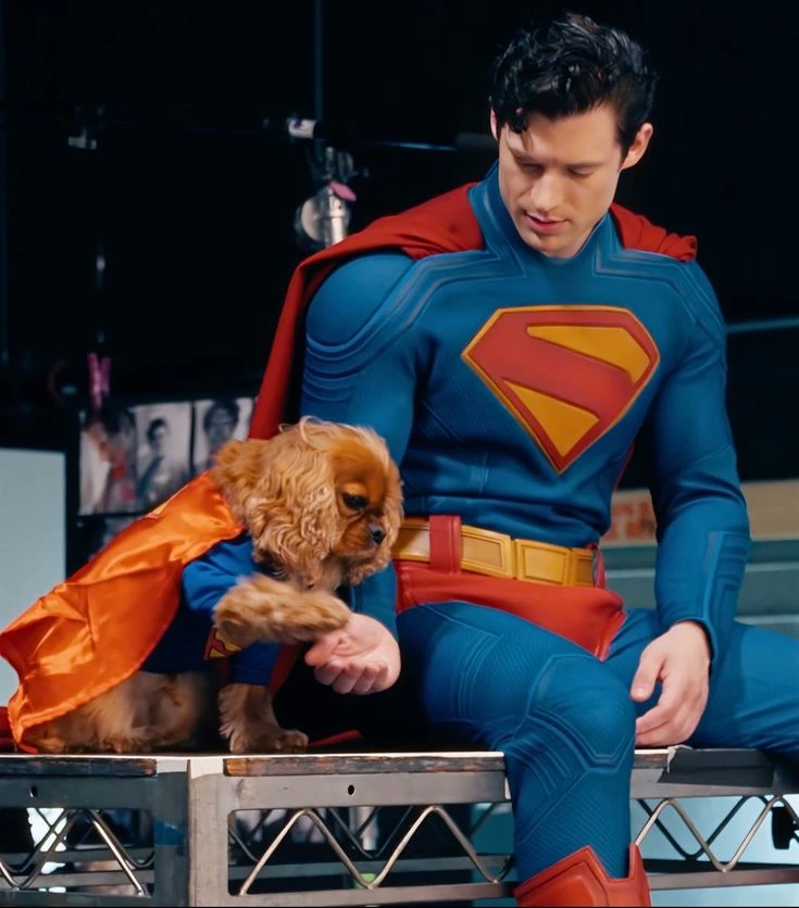 C. Kent⭑ 🥙's banner