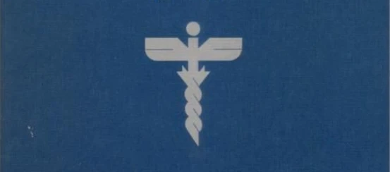 Dr. Leonard McCoy's banner