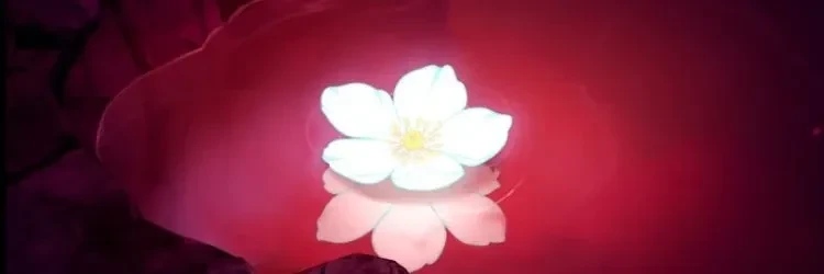 🌹  ╳  oli / olive   .   any all (no s.her)'s banner