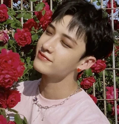✿    chan  𖹭    .    he love heart it's avatar