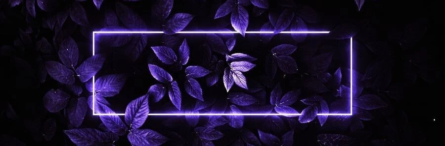 L-Cross's banner