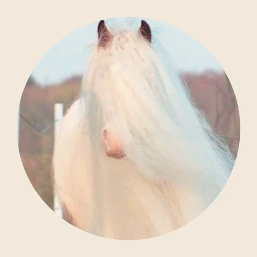 { Dreimör. ☁️🤍 }'s avatar