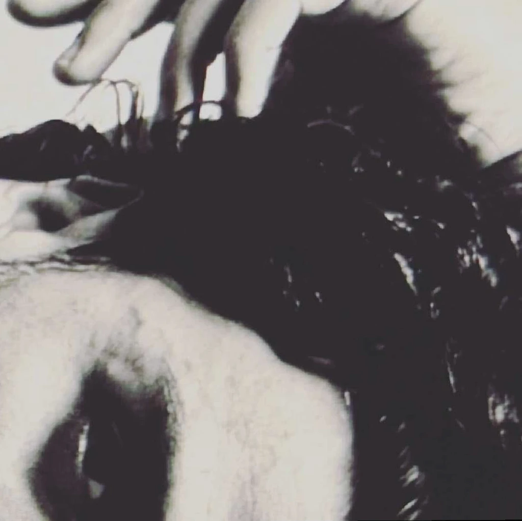 Anselm⭑ 🪙's banner