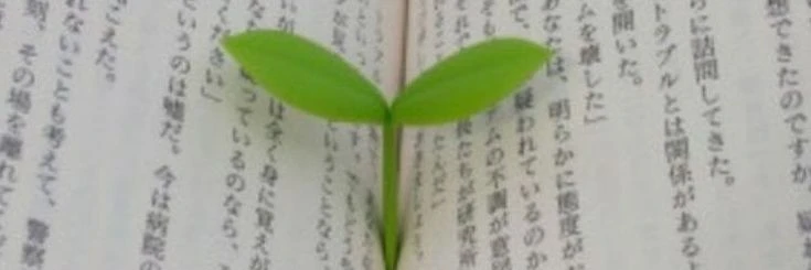 ◟　🌱⁺　plant﹕they.she.plant.moss.eco.fern.grass's banner
