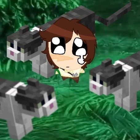 Lancelot's avatar