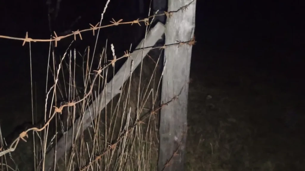 ⌖ buckshot ⌖'s banner