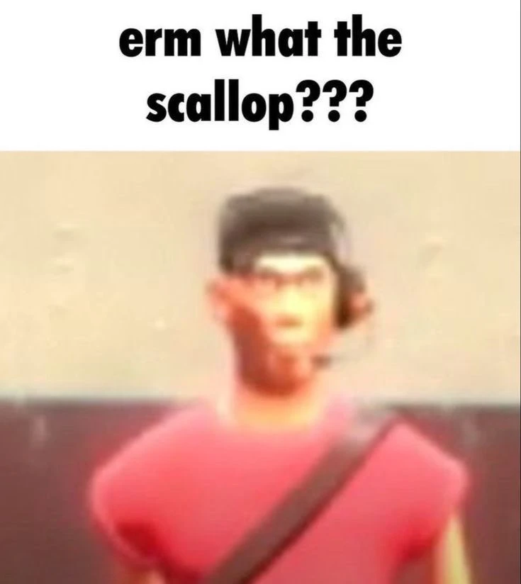 Scout's banner