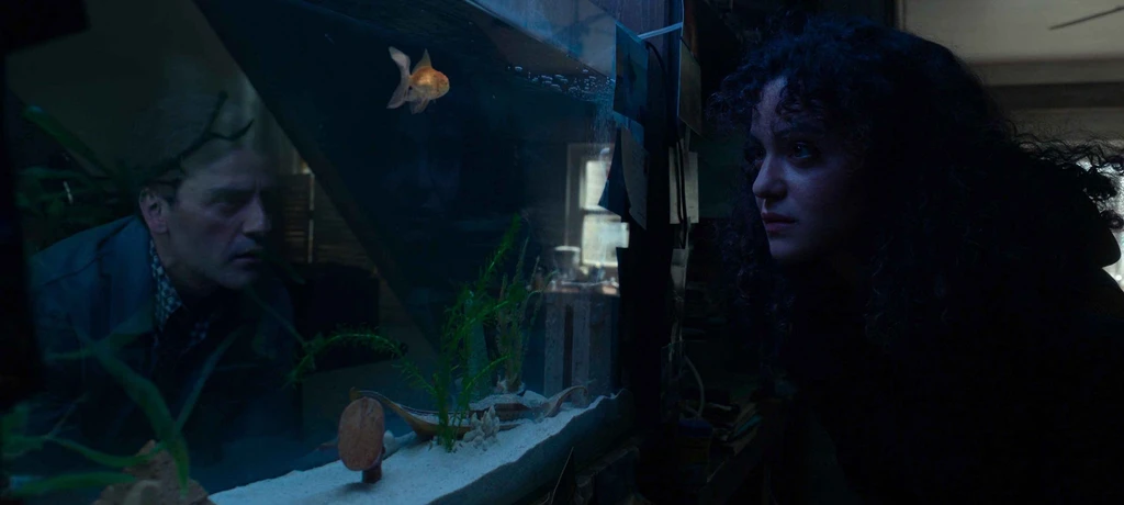 Callum⭑ ➿'s banner