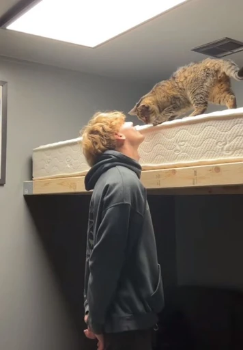 Eddie⭑ 🌭's avatar