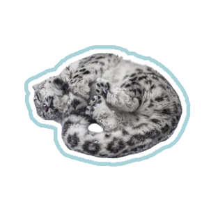 solev❄️'s avatar