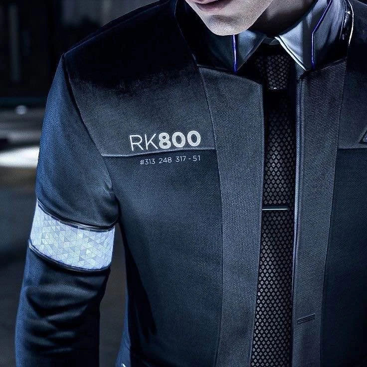 RK800's banner