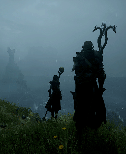 Nari Lavellan's banner