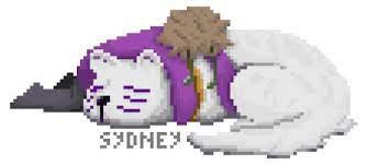 Dogchamp's banner