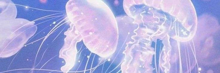 Empire⭑ 🌪️'s banner