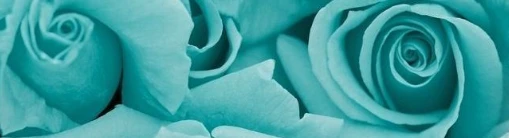 < 🧵 // Jack's banner