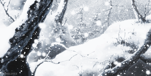 Noelle's banner