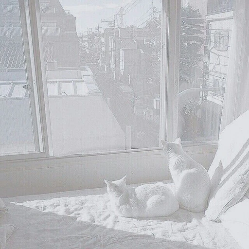 starry luck collective's avatar