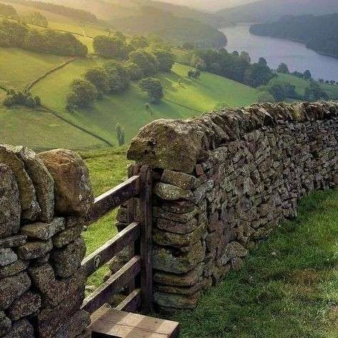 Merida⭑ 🏹's banner