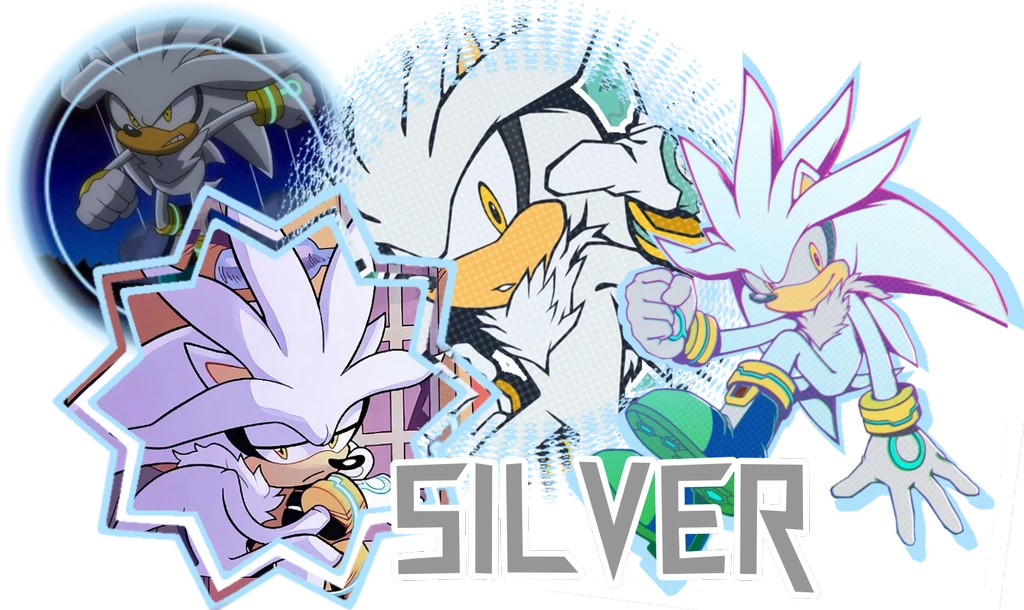 Silver the hedgehog's banner