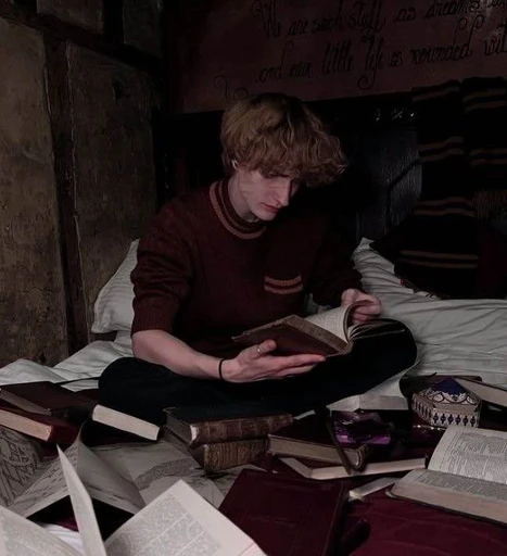 [🐺🔖] • Remus // “Moony” • {He/They} •'s avatar