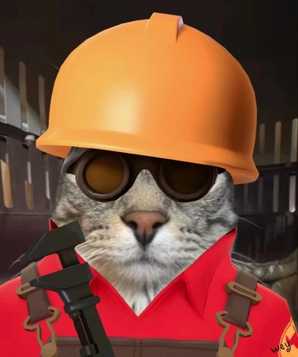 Engineer's avatar