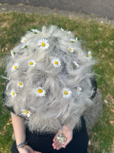 vol