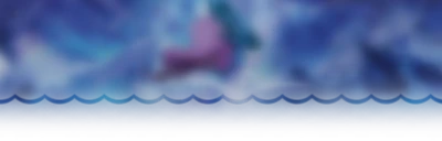 cass's banner