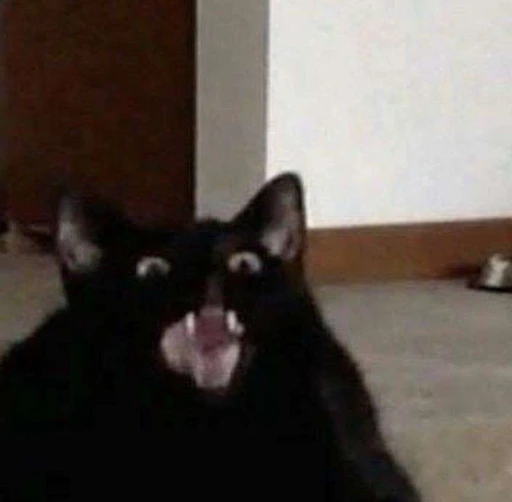 ?new⭑ ❔'s avatar