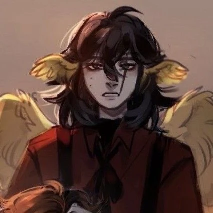 🫀C!Quackity•{He/It/They/She/Duck}•'s avatar