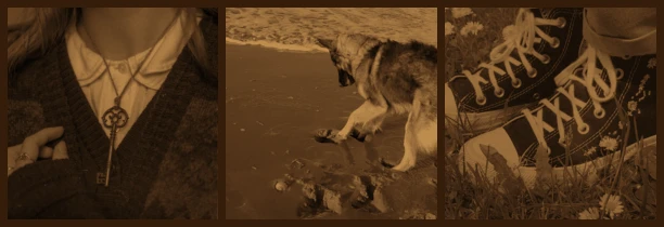 ⌜✪⌟　:　lt gen. syn / nikita　₊　he they woof's banner