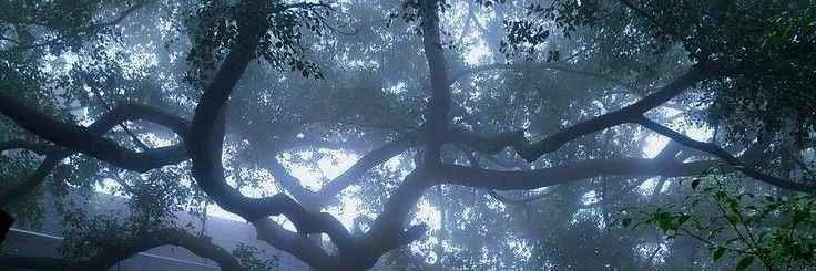 Mitch⭑ 🖲️'s banner