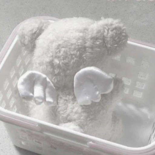 Teddybear's avatar