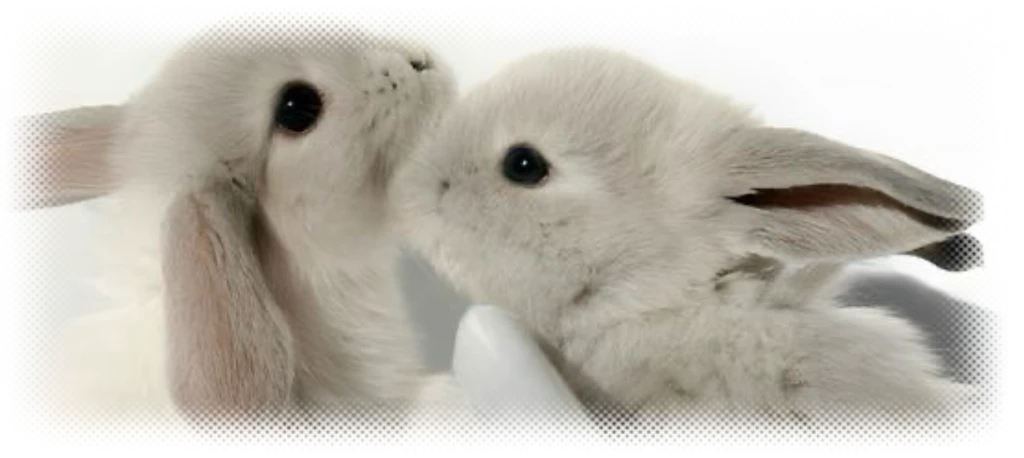 Ი𐑼's banner