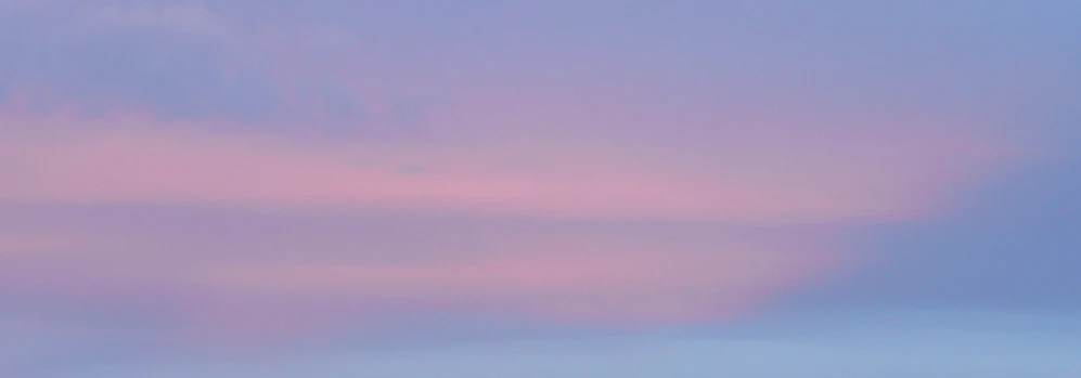 Corvid's banner