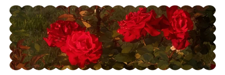 Gem's banner