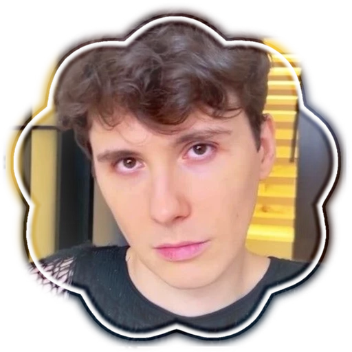 ﹙🕳️ ; Dan 𓋼 He.She ✿₊'s avatar