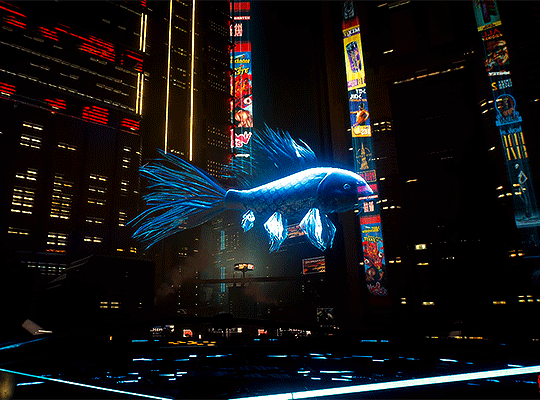 Jackie⭑ 🫂's banner