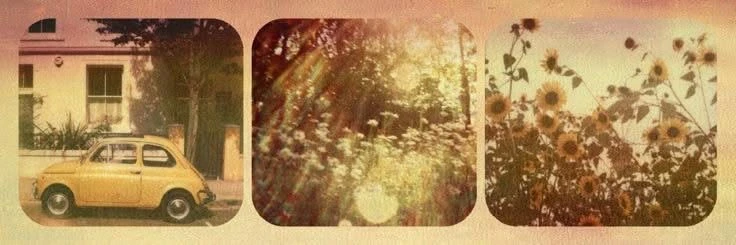 DARRY's banner