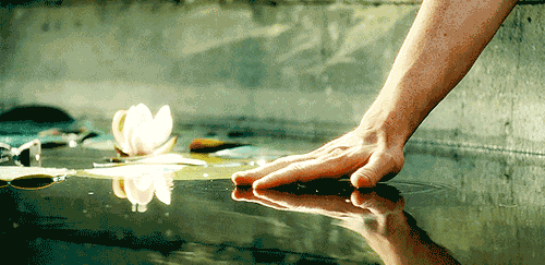 Sanctimonious's banner