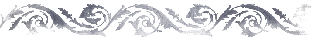 𝑩𝒓𝒂𝒄𝒌𝒆𝒏's banner