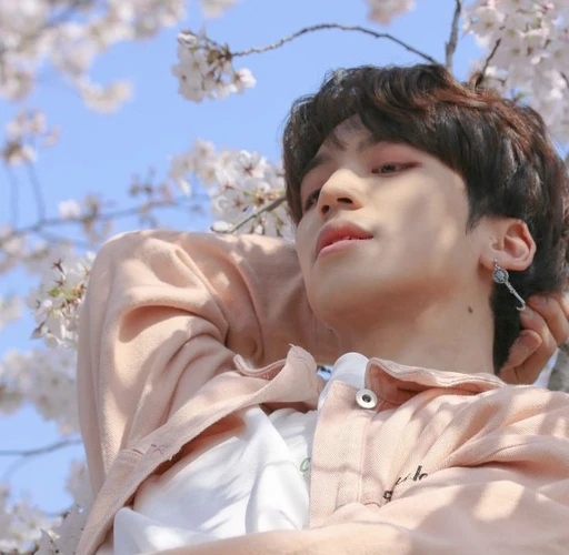 ✿    beomhan  𖹭    .    he they xer any's avatar