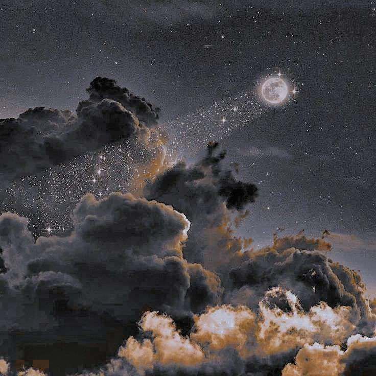 Standard⭑ 🚘's banner