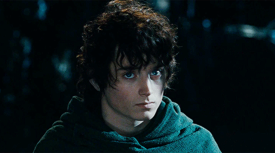 Frodo Baggins's banner