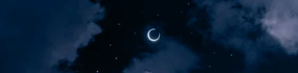 vindix's banner