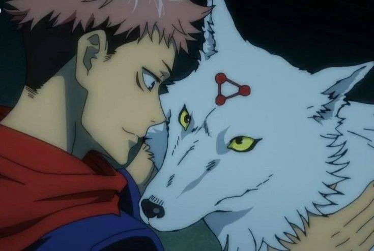 Yuji⭑ 🧁's banner